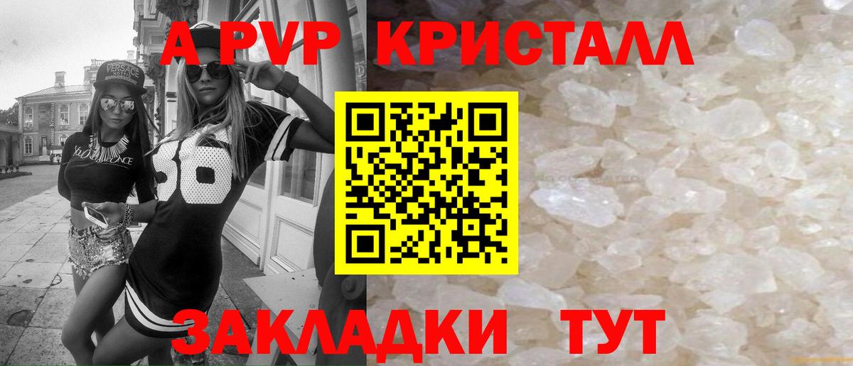 APVP СК Асино