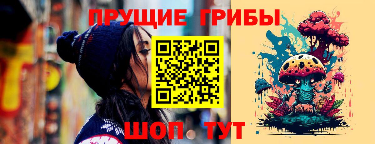 Асино  наркота  Вход с VPN  Галлюциногенные грибы MAGIC MUSHROOMS 