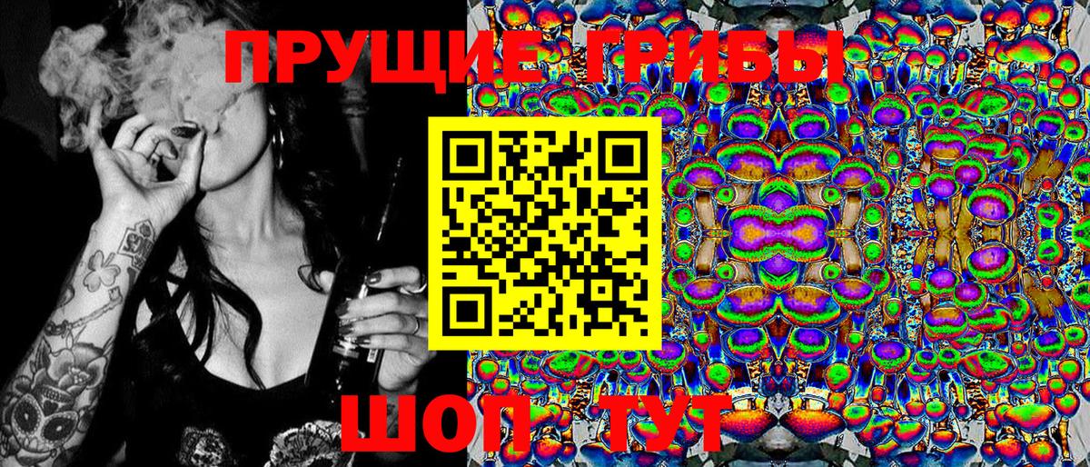 Галлюциногенные грибы Cubensis Асино